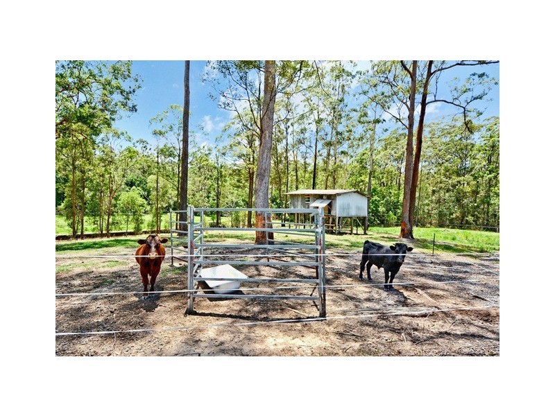 Glass House Mountains QLD 4518