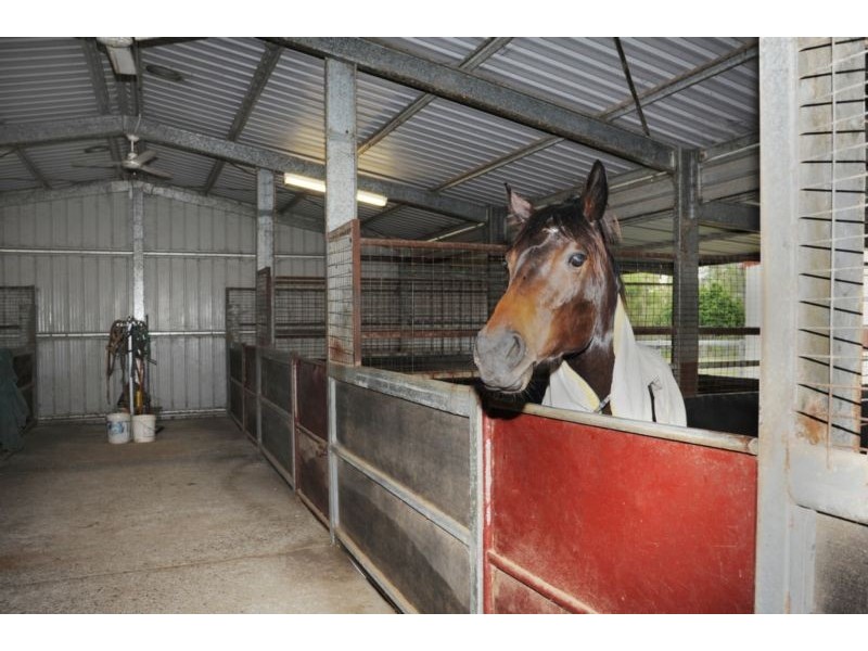 930-938 Neurum Road, Neurum QLD 4514
