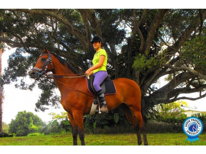 893 Eumundi Kenilworth Road, Belli Park QLD 4562