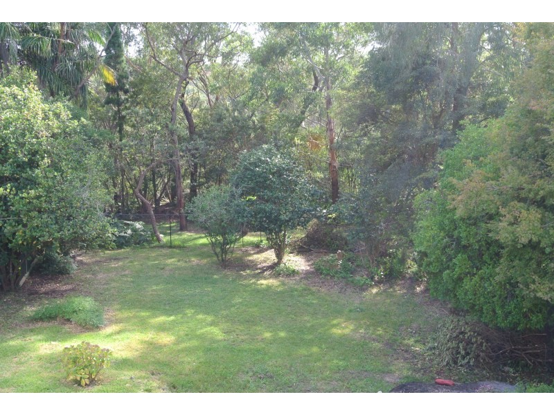 38 Wellman Road, Forestville NSW 2087