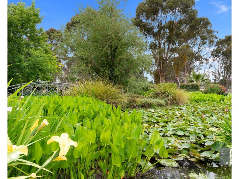 6 Waldara Drive, Wangaratta VIC 3677