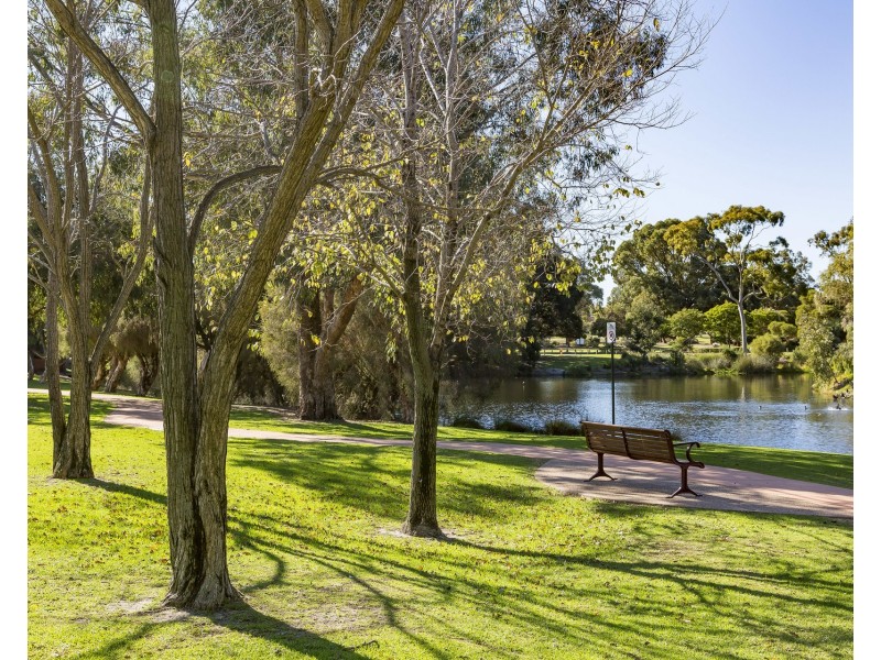 17b Godwin Avenue, Manning WA 6152