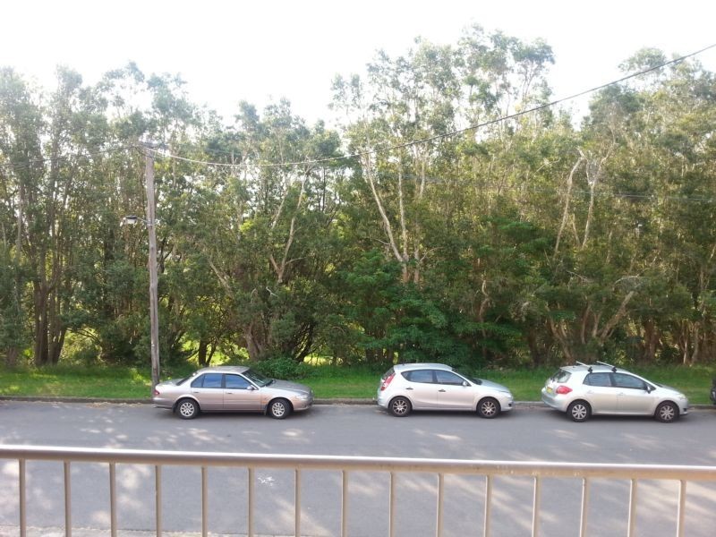 1/65 NESCA PDE, The Hill NSW 2300