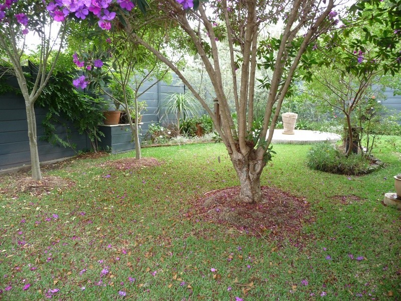 8 Chadwick Street, Hillsborough NSW 2290