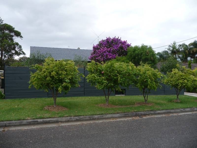 8 Chadwick Street, Hillsborough NSW 2290