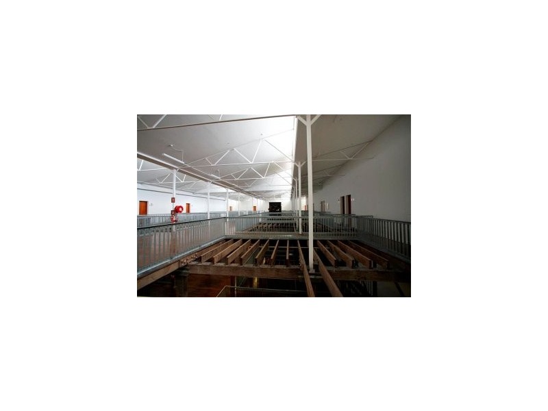 325/14 Milford Street, Islington NSW 2296