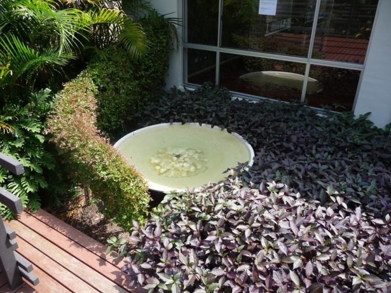 25 Cameron Street, Hamilton NSW 2303