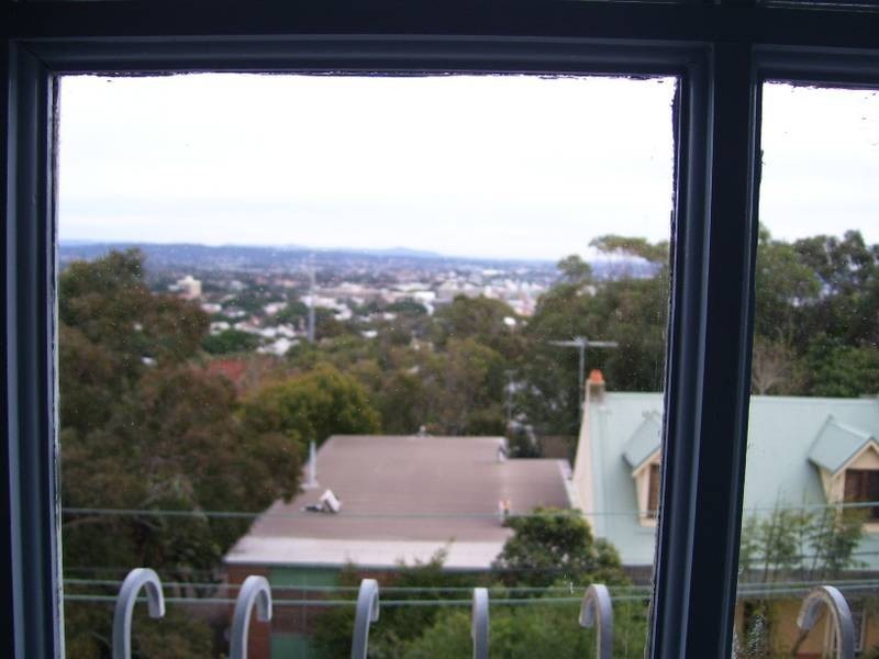 4/93 WOLFE ST, The Hill NSW 2300