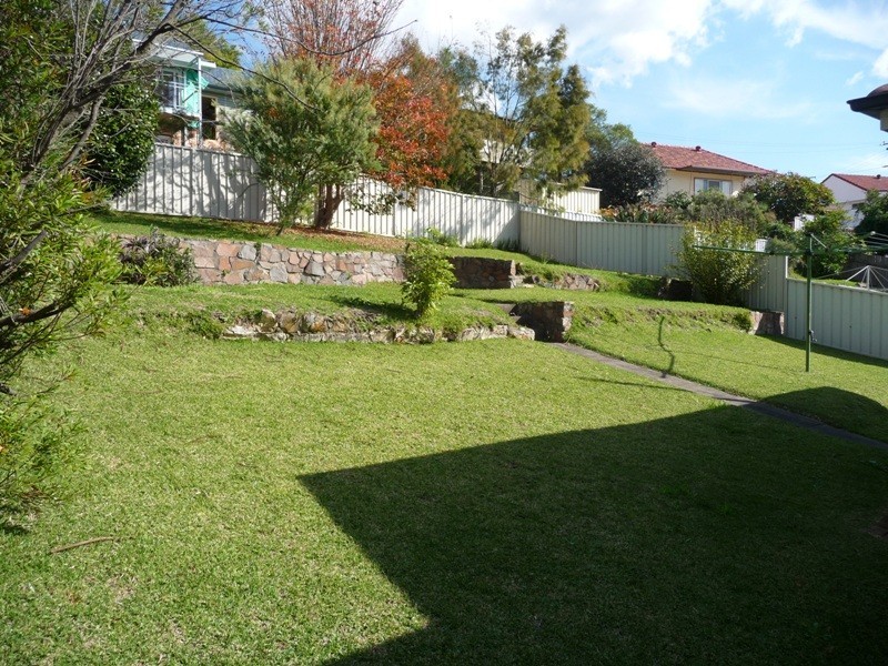 79 Carolyn Street, Adamstown Heights NSW 2289