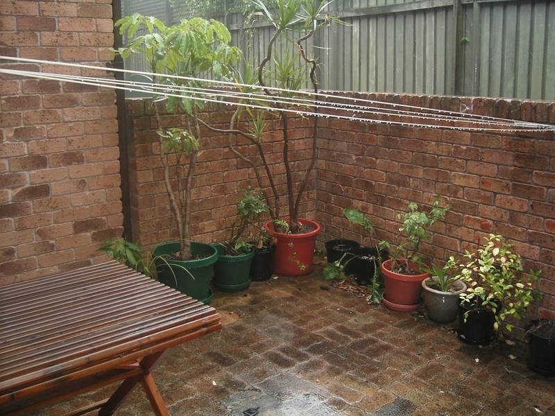 1/6 Memorial Dr, The Hill NSW 2300