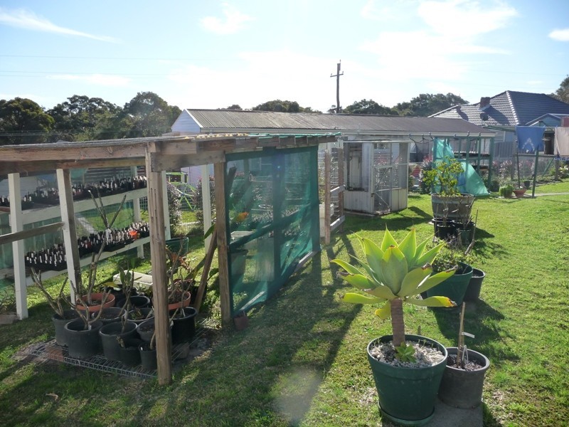 3 Barraba Street, Whitebridge NSW 2290