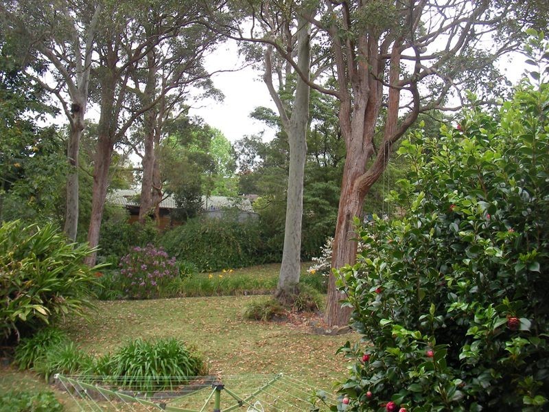 6 Marshall Street, New Lambton Heights NSW 2305