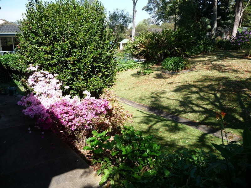 6 Marshall Street, New Lambton Heights NSW 2305