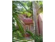 7/295 Darby Street, Bar Beach NSW 2300