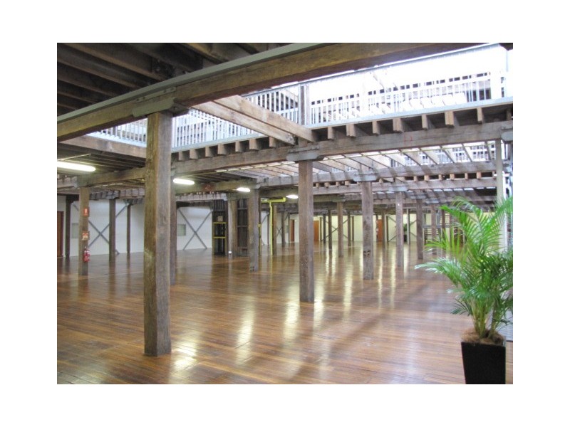 331/14 Milford Street, Islington NSW 2296