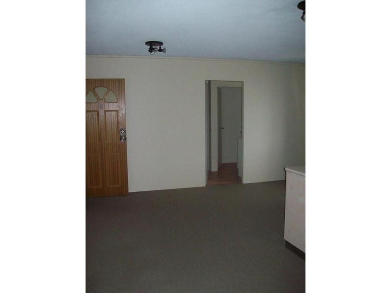 4/34 Lemnos Pde, The Hill NSW 2300