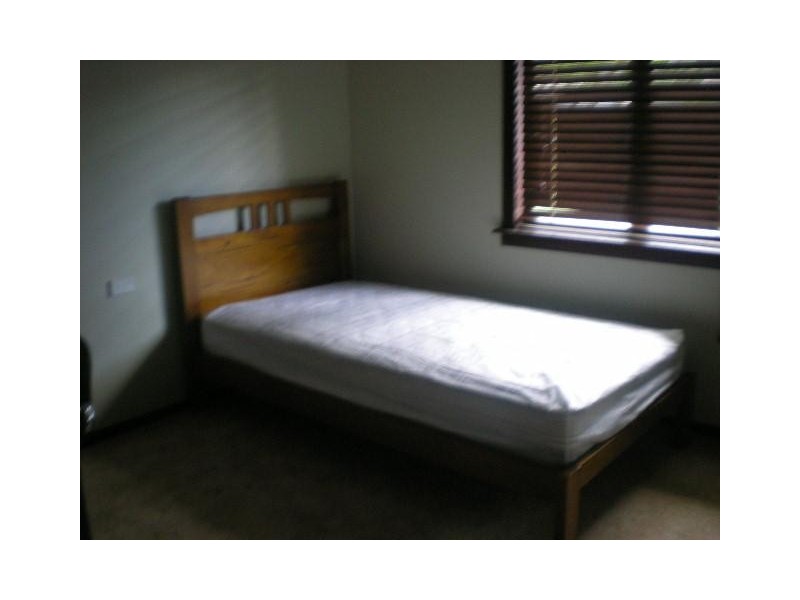 15 JARRET ST, Waratah West NSW 2298