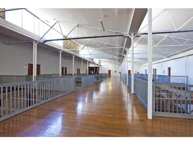 313/14 Milford Street, Islington NSW 2296