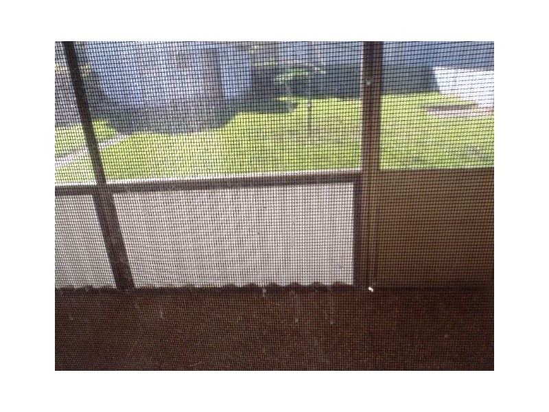 2 Wales Street, Charlestown NSW 2290