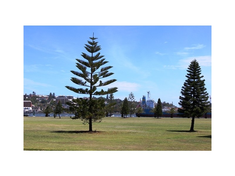 30 Hunter Street, Stockton NSW 2295