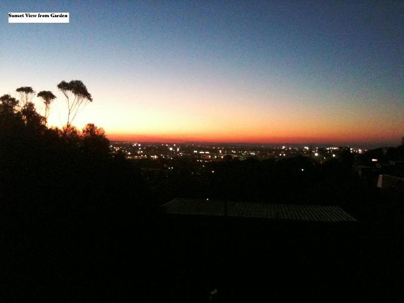 3/18 Memorial Drive, The Hill NSW 2300