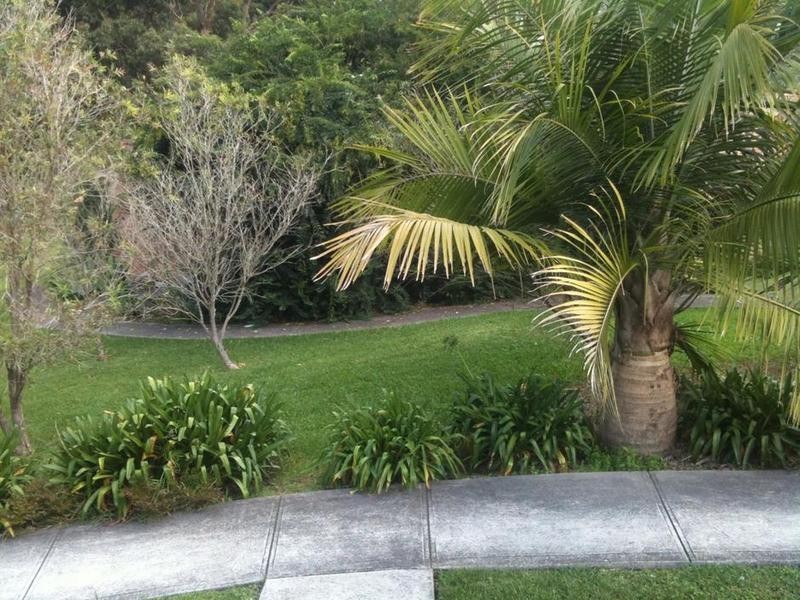 65/29 TAURUS ST, Elermore Vale NSW 2287