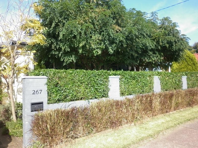 267 BEAUMONT ST, Hamilton NSW 2303