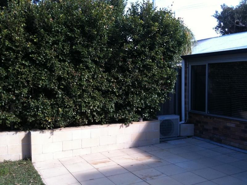 5 FARQUHAR ST, The Junction NSW 2291