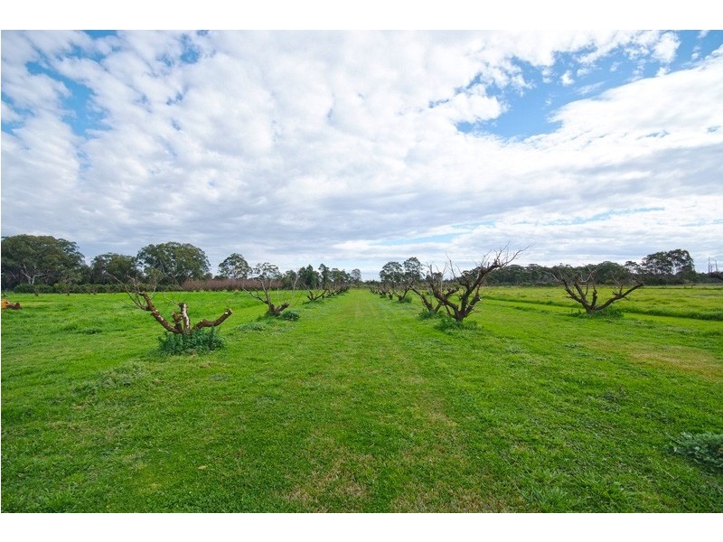 17 Fairlands Road, Medowie NSW 2318