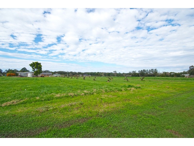 17 Fairlands Road, Medowie NSW 2318