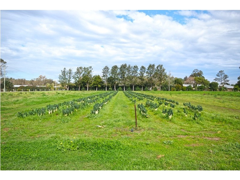 17 Fairlands Road, Medowie NSW 2318