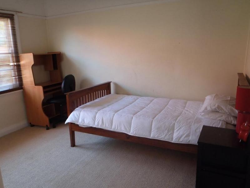 101 Young Rd, Lambton NSW 2299