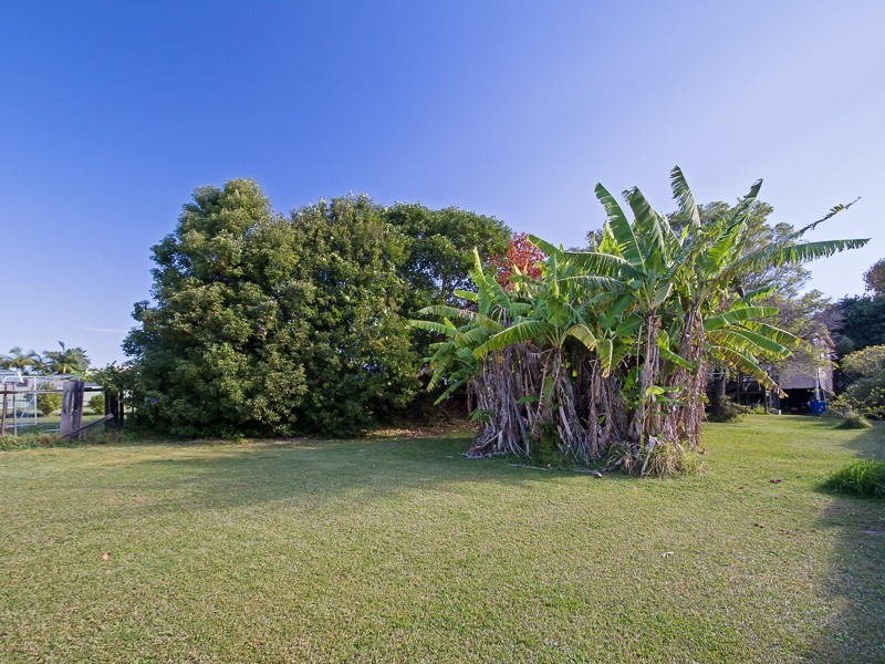 6 Helen Street, Cardiff South NSW 2285