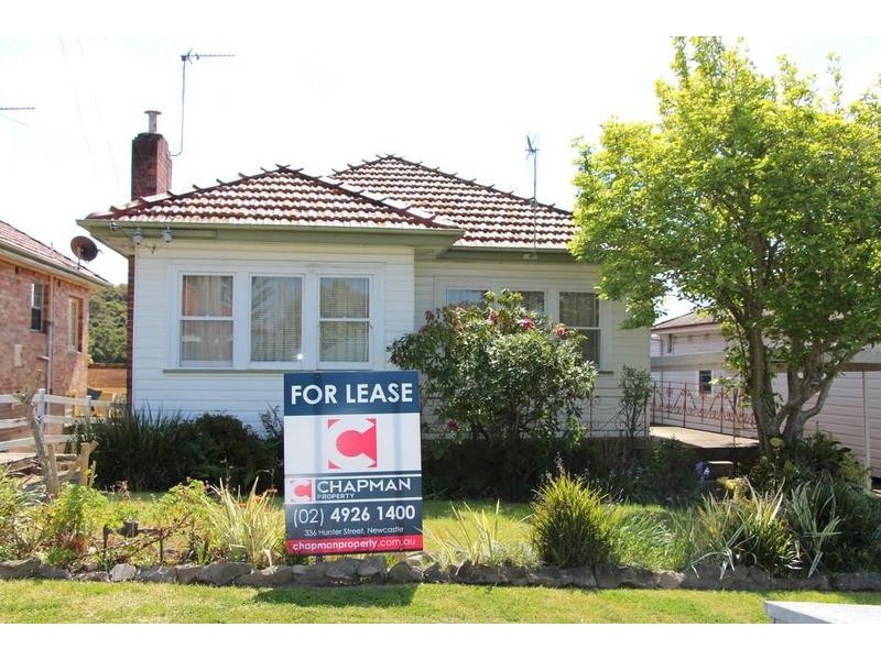 30 Grinsell Street, New Lambton NSW 2305