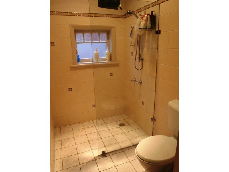 38 Skelton Street, Hamilton East NSW 2303