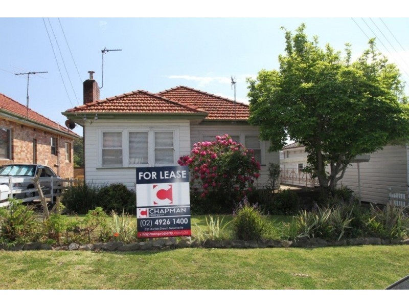 30 Grinsell Street, New Lambton NSW 2305
