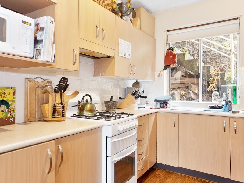 1/33 Nesca Parade, The Hill NSW 2300