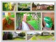 44 Elders Street, Lambton NSW 2299
