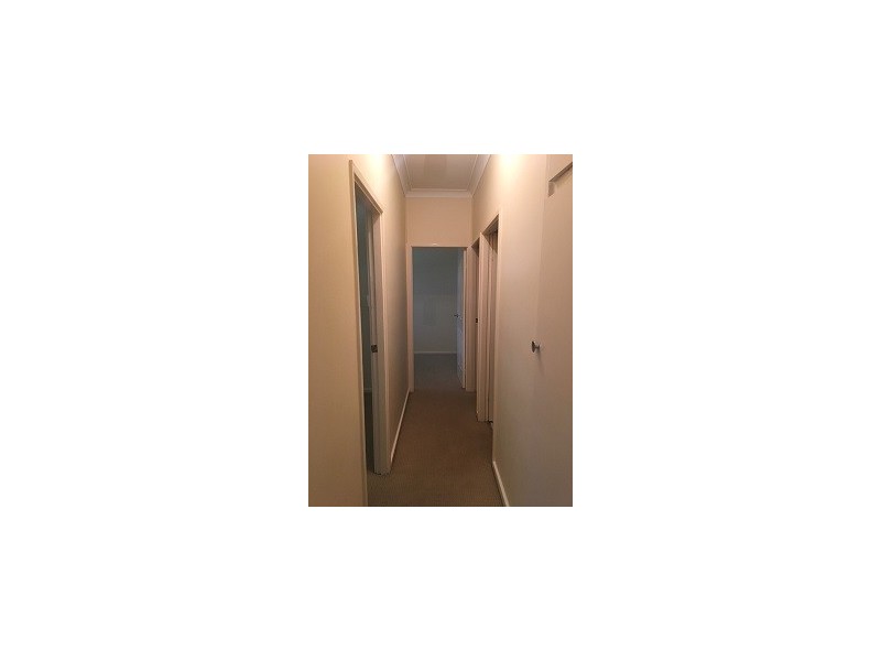 55 Martindale St, Wallsend NSW 2287