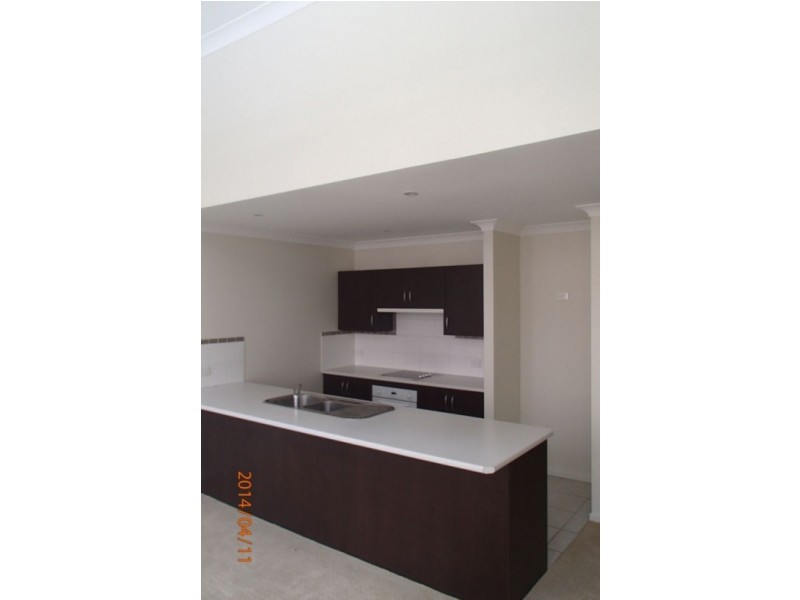 1/12 Perkins Street, Newcastle NSW 2300