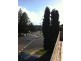 1/27 Nesca Parade, The Hill NSW 2300