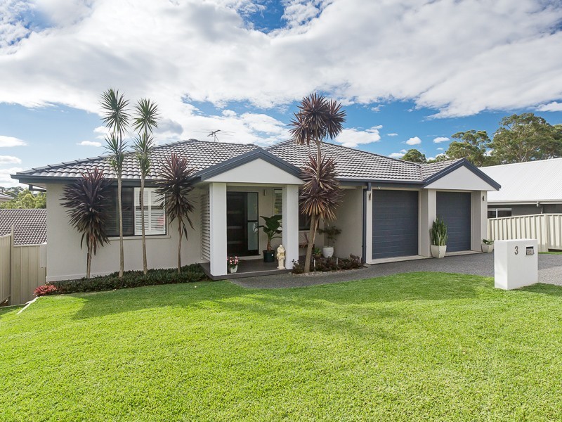 3 Arbutus Street, Valentine NSW 2280