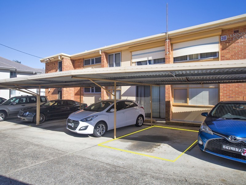 10/30 Lemnos Parade, The Hill NSW 2300