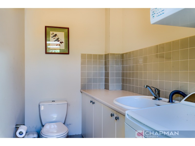 66a Wolfe Street, Newcastle NSW 2300