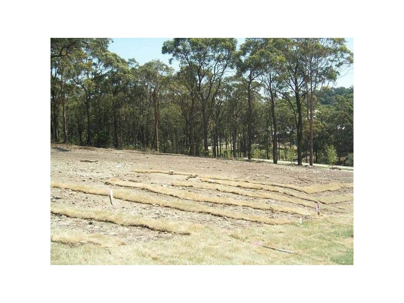 Elermore Vale NSW 2287