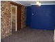 7/98 Regent Street, Lambton NSW 2299