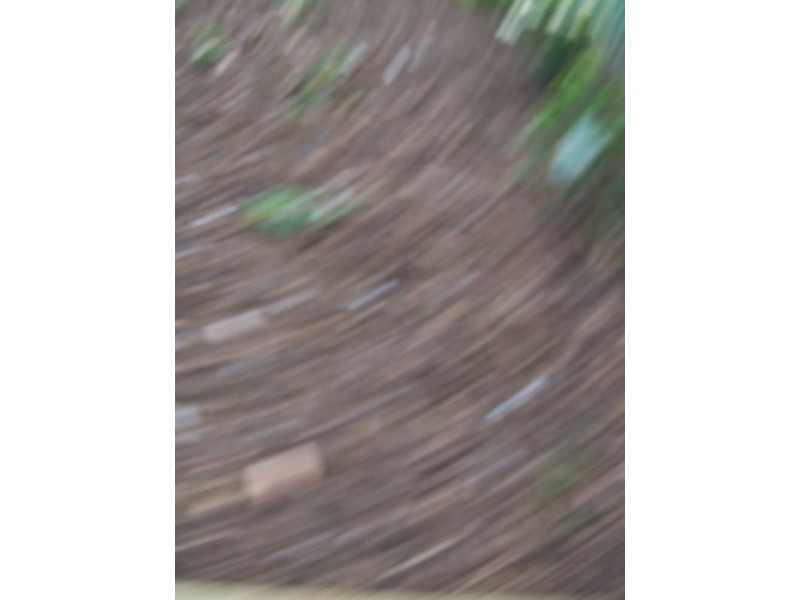 Elermore Vale NSW 2287