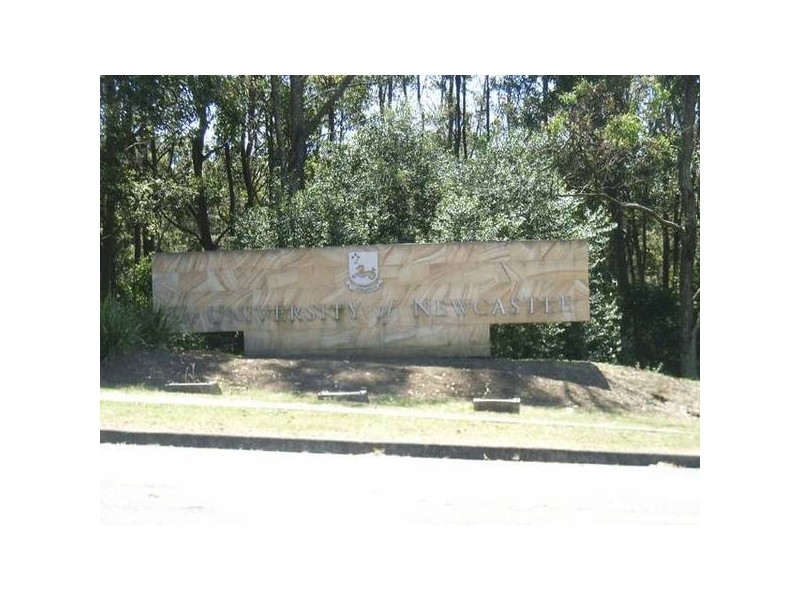 61 University Drive, Waratah West NSW 2298