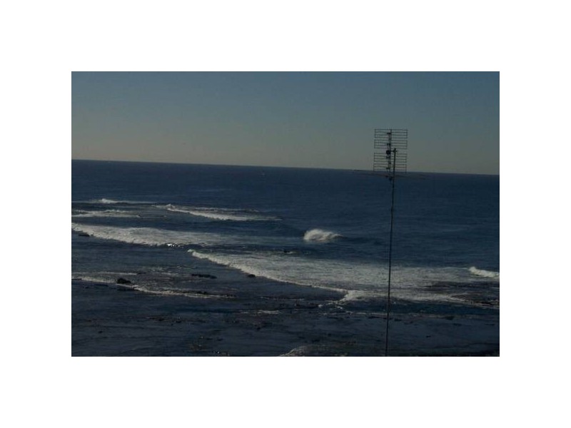 7 Murray Street, Newcastle NSW 2300