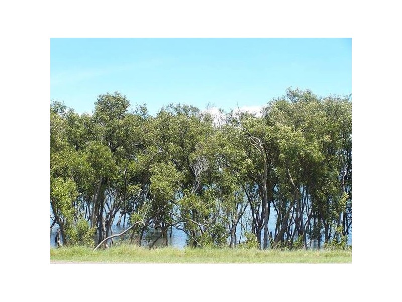 990 Nelson Bay Road, Fern Bay NSW 2295